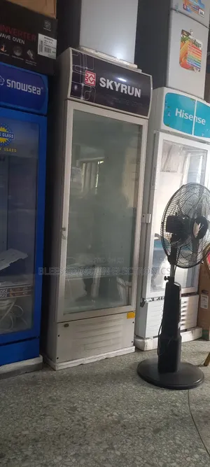Skyrun Low Voltage Standing Chiller 500liters With Auto Surge Protecto