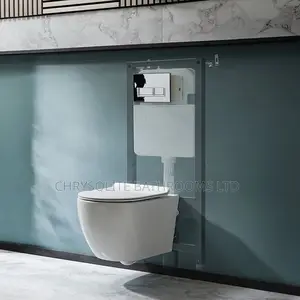 Wall-Hung Water Closet