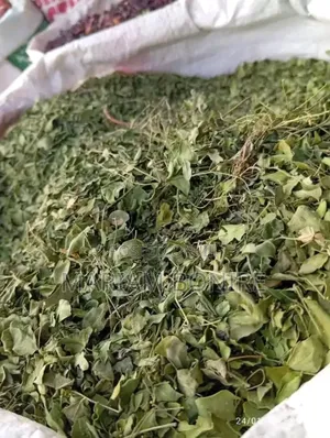 Moringa Leaves