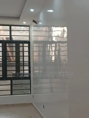 A Professional Painter
