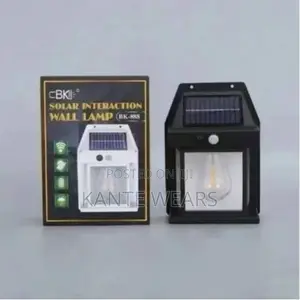 Solar Rechargeable Wall Security Sensor Bulbs