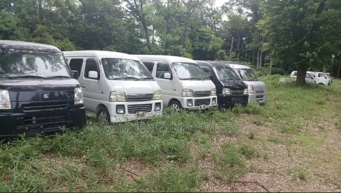 Suzuki Every 2010 Silver