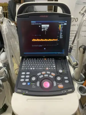 Mindray Dp10