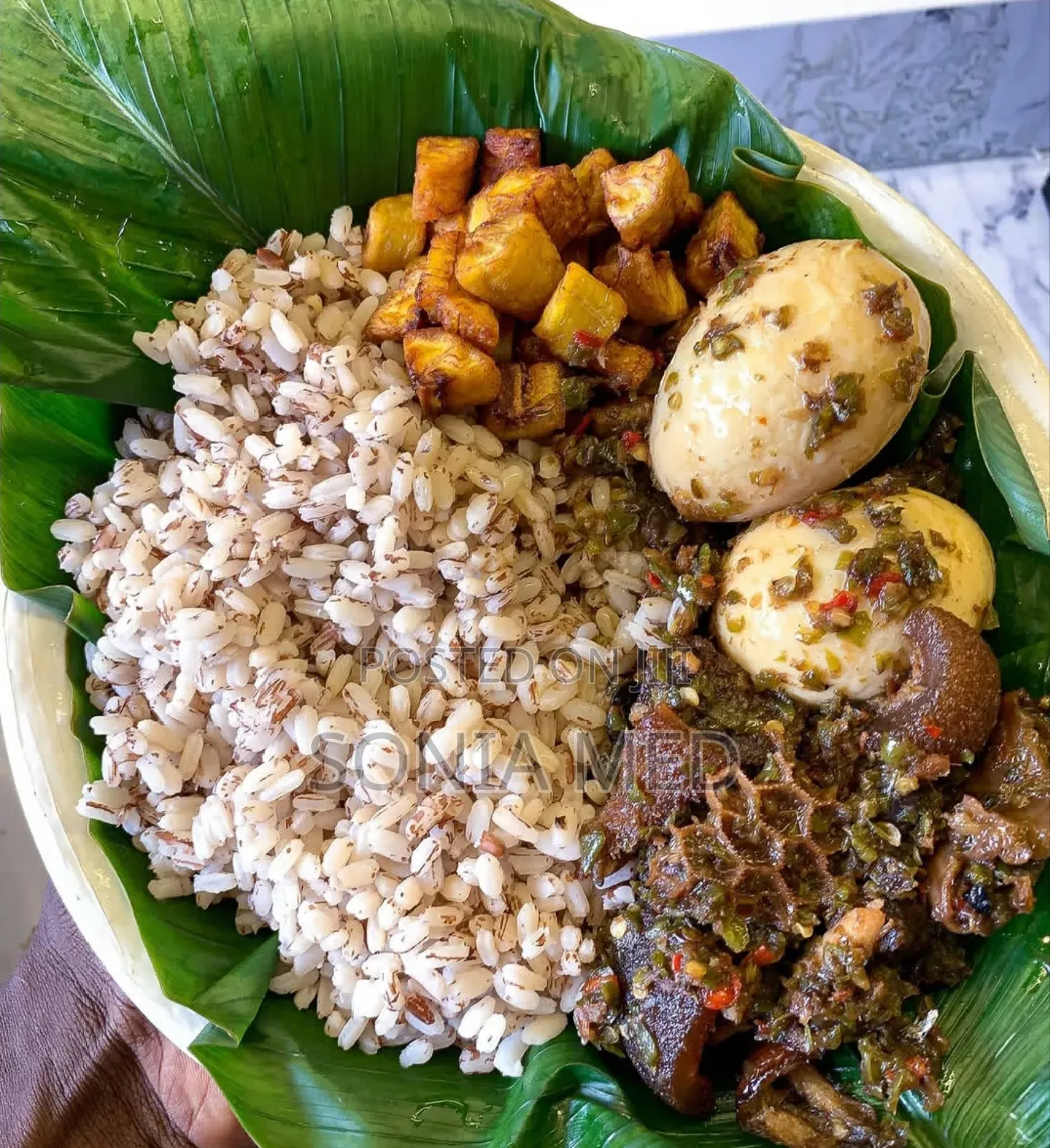 Home Cook/ Daily Cook