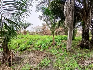 12plots of Dry Land (2 Acres) in Ajah