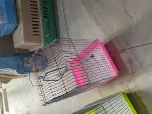Birds Cage’S Available for Sale