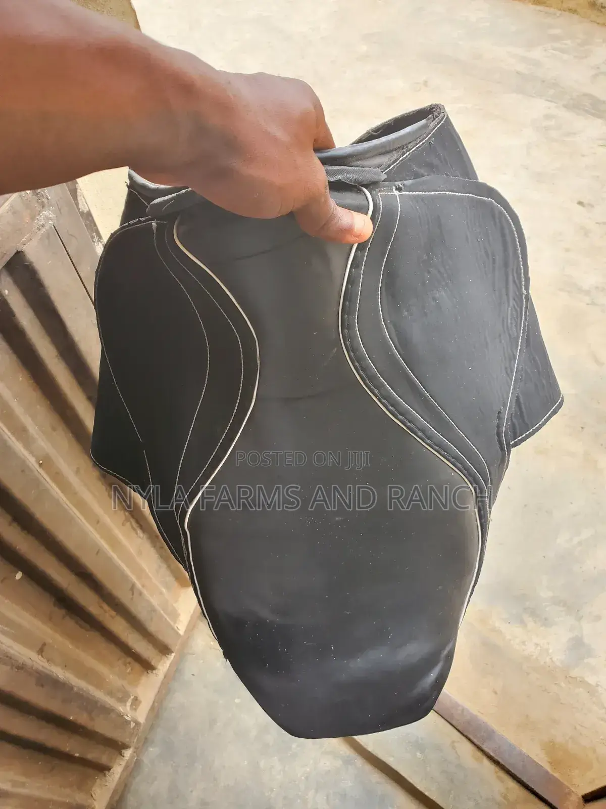 Horse Accessories