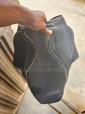 Horse Accessories