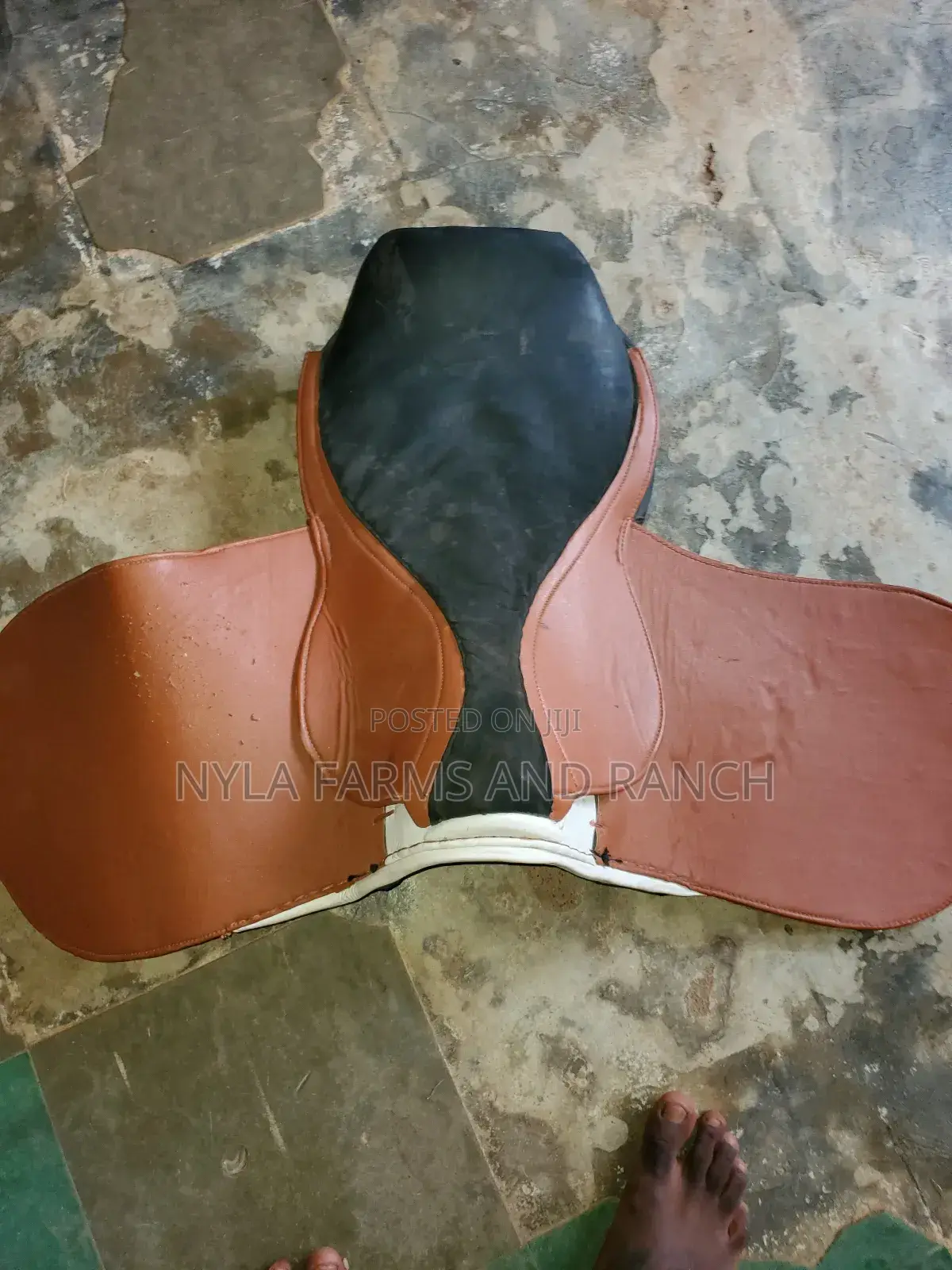 Horse Accessories