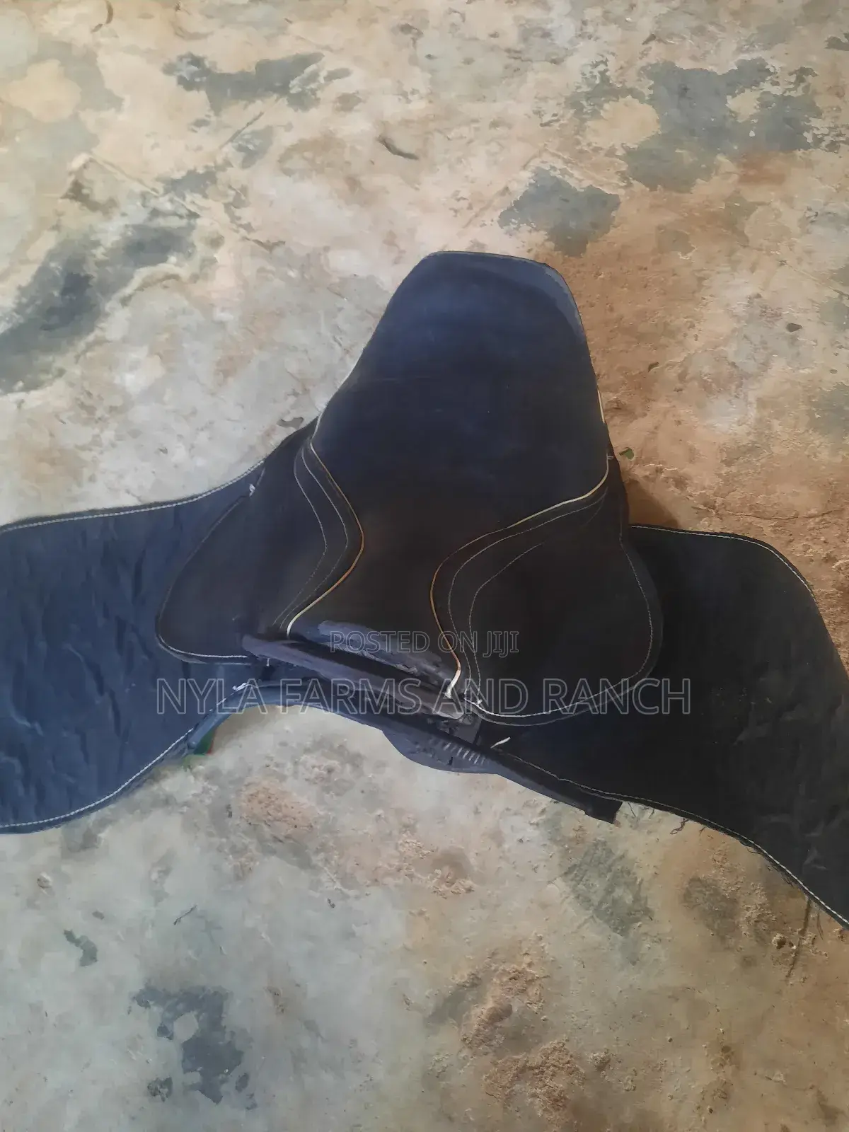 Horse Accessories