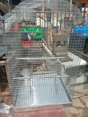 Parrot Cages Available for Sale