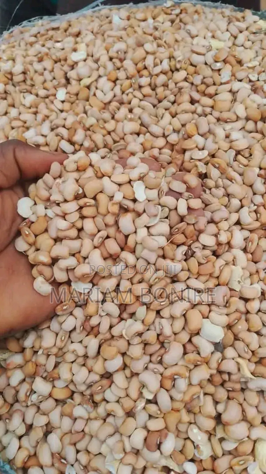 Oloyin Beans