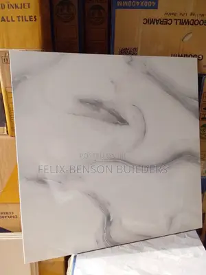Glossy Floor Tiles