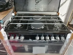 4 X2 Standing Cooker
