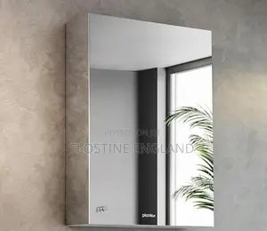 Door Mirrors