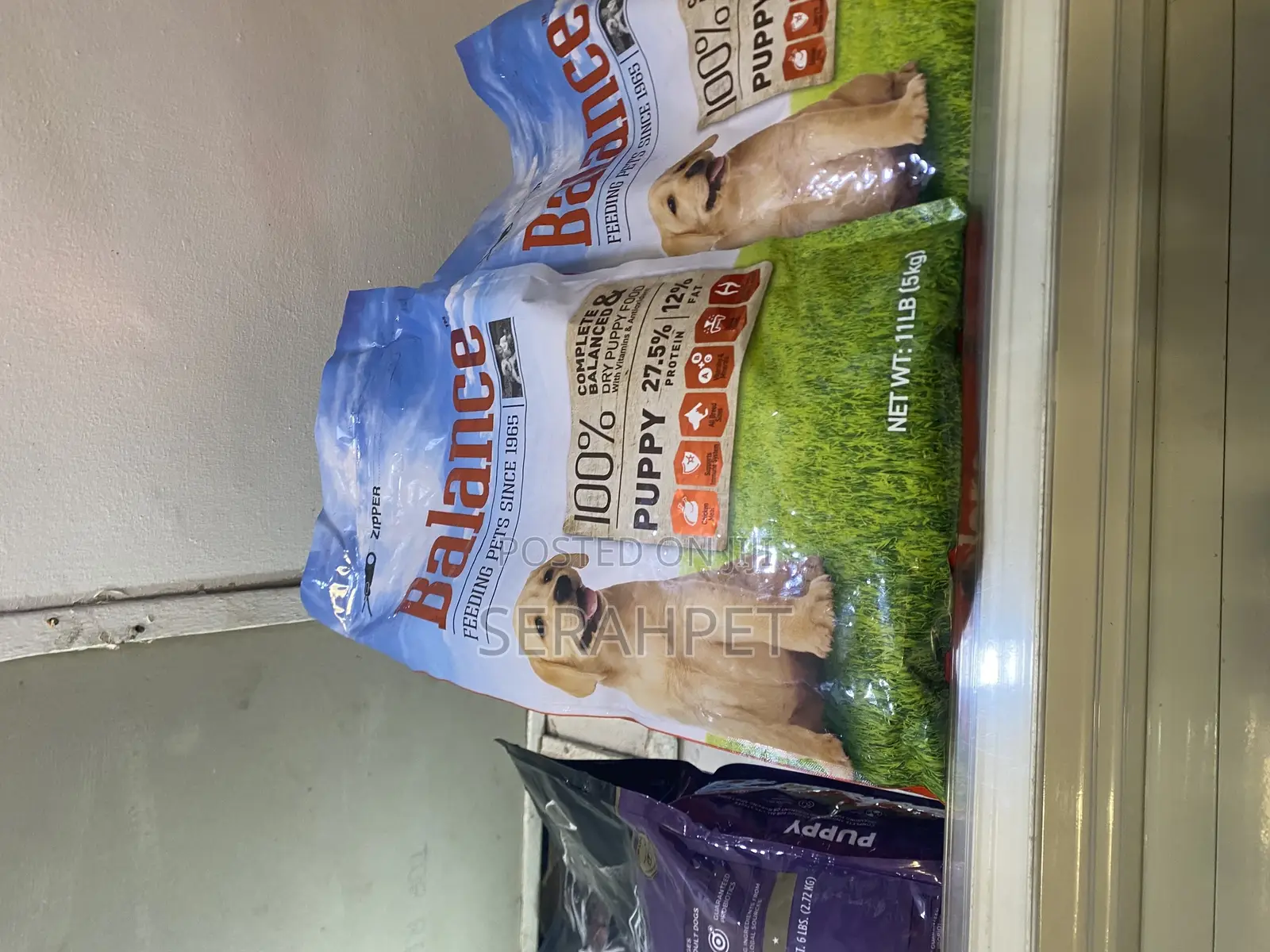 Dog Food Available