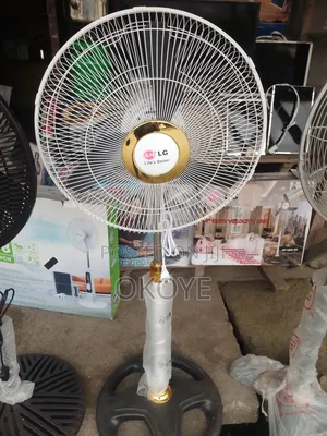 Lg Standing Fan 18 Inches Blade