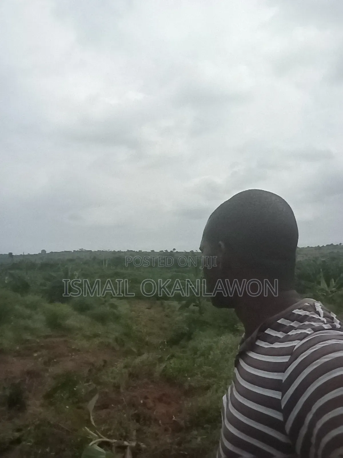 Farm Manager