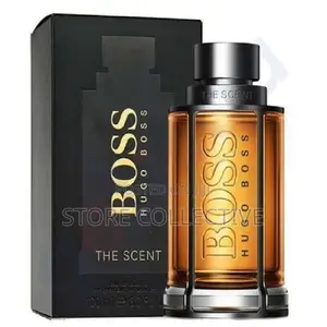 The Scent Edt 100ml Perfume for Men