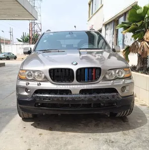BMW X5 2005 Gray