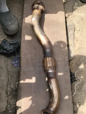 Exushus Net for Lexus Rx300