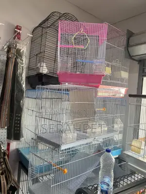 Parrot Cages Available for Sale