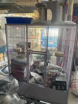 Parrot Cages Available for Sale