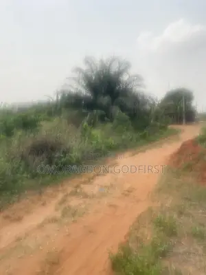 Land for Sale at Agbor Road Ikhoe Nuwaya Community