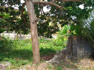 50 by 110 for Sale at Shagoulor Off Npa Expressway