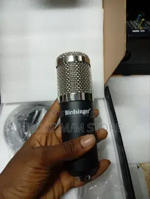 Bm 800 Condenser Microphone