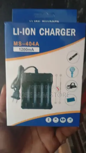 4in 1 Battery Charger