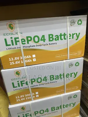 4kw 24v Ecolion Lithium Ion Battery