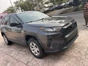 Toyota RAV4 LE FWD 2019 Gray