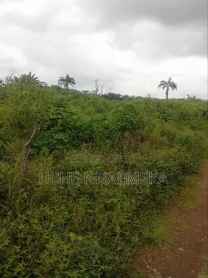 Farmland for Lease