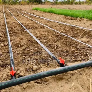 Drip Tape Irrigation Installation