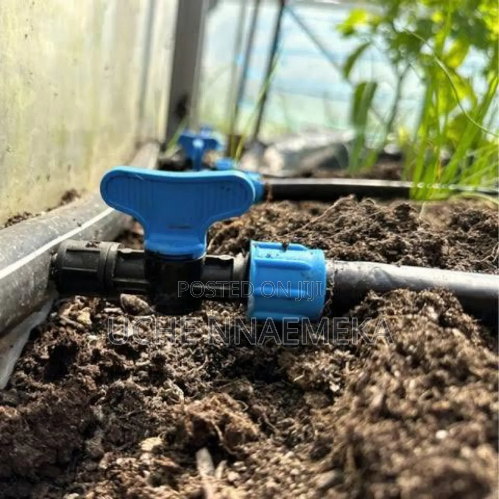 Drip Tape Irrigation Installation