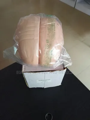 Human Brain
