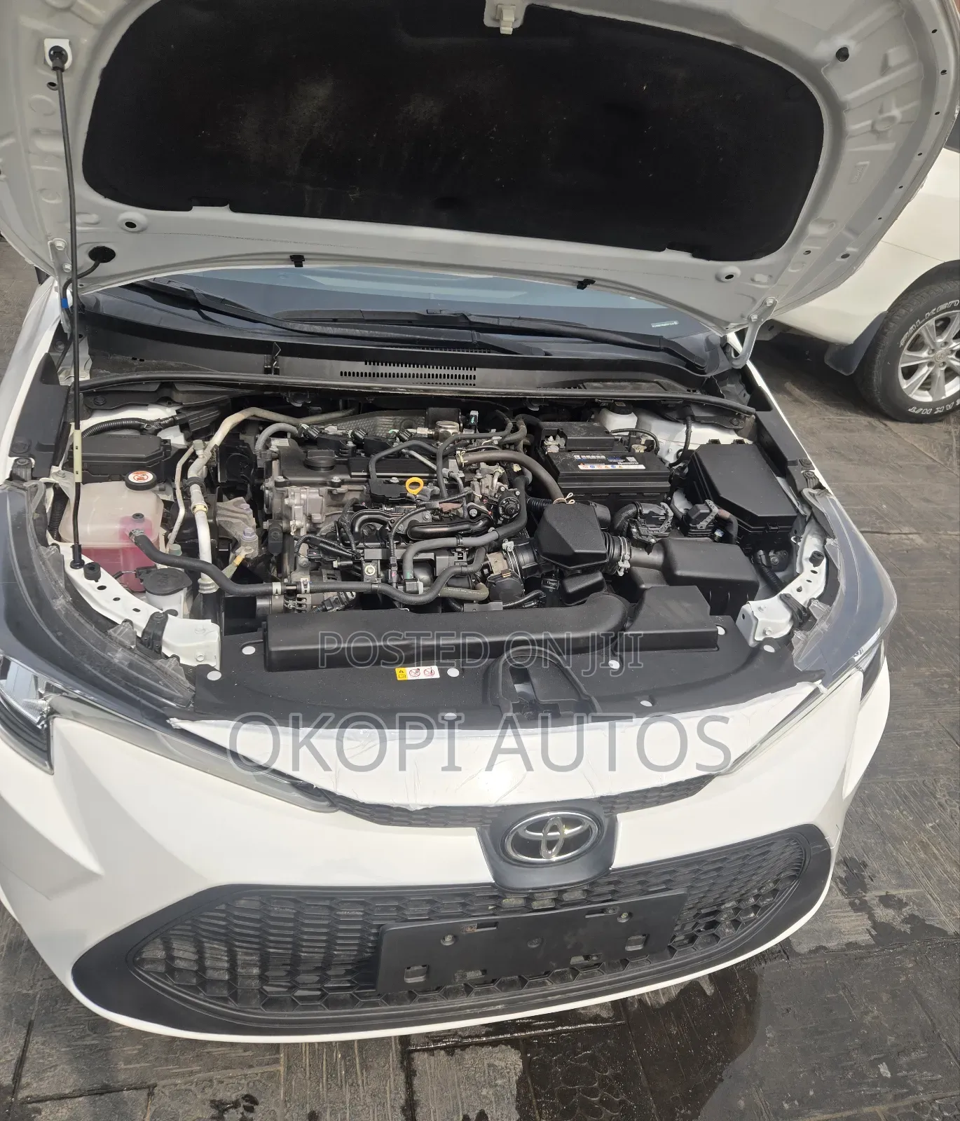 Toyota Corolla L 2022 White