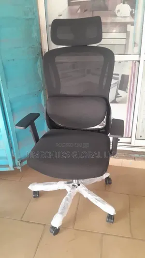 Topnotch Luxury Mesh Chair for Waist Pain With Adjustable Handle