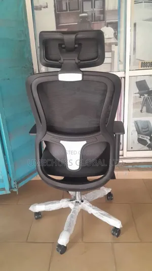 Topnotch Luxury Mesh Chair for Waist Pain With Adjustable Handle