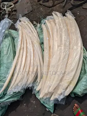 Boot Spoiler 2003,2006,2008,2013,2018 Honda Accord