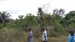 A Plot of Land for Sale (Landbanking Investment)
