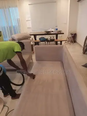 Upholstery Rug Cleaning Services
