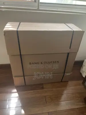 Bang and Olufsen Beoplay A9