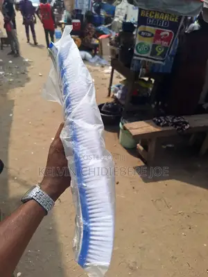 Swimming Pool Cleaning Brush