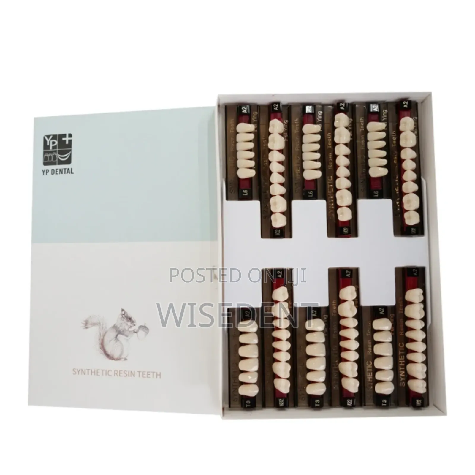 Dental Acrylic Teeth