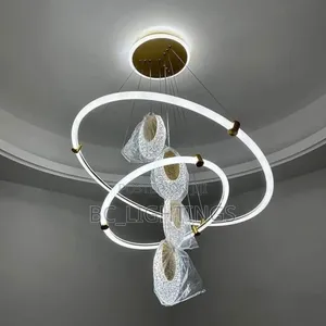Modern Led Chandelier Light