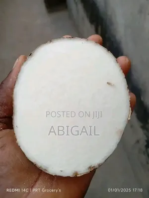 Niger White Yam