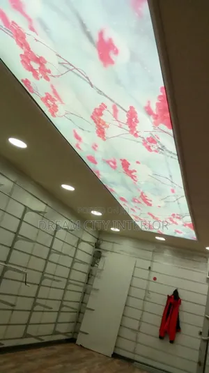 3d Stretch Ceiling