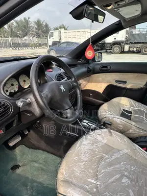 Peugeot 406 2006 Gray